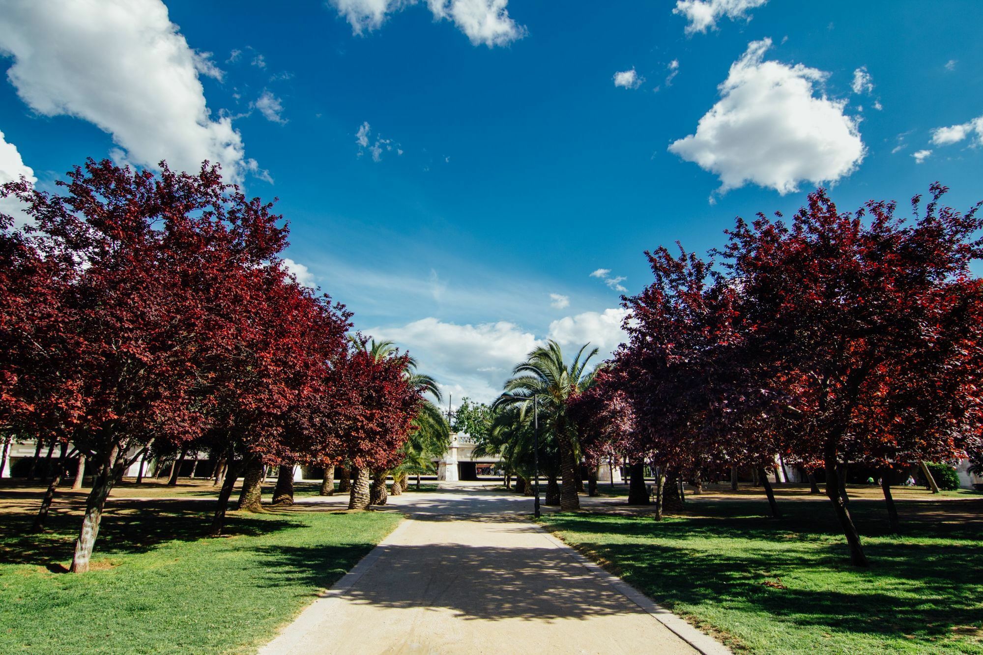 Anderson City Flats Βαλένθια Εξωτερικό φωτογραφία